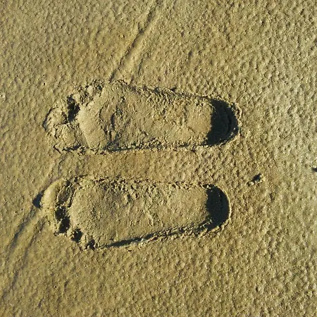 Borkum Flair * Borkum